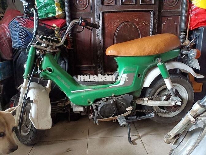 Không xử dụng cần bán gấp cho trồng nhà