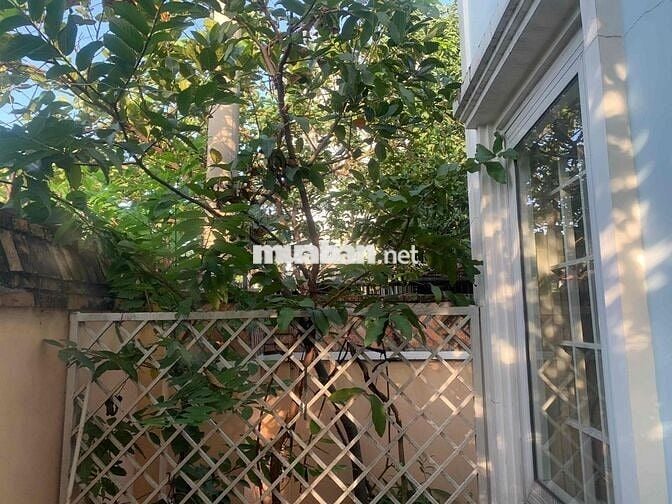 cho thuê phòng studio view sân vườn