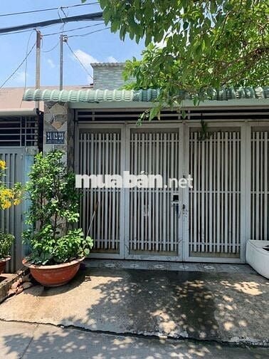 Cho thuê đất và nhà Phường An Phú Đông, Quận 12