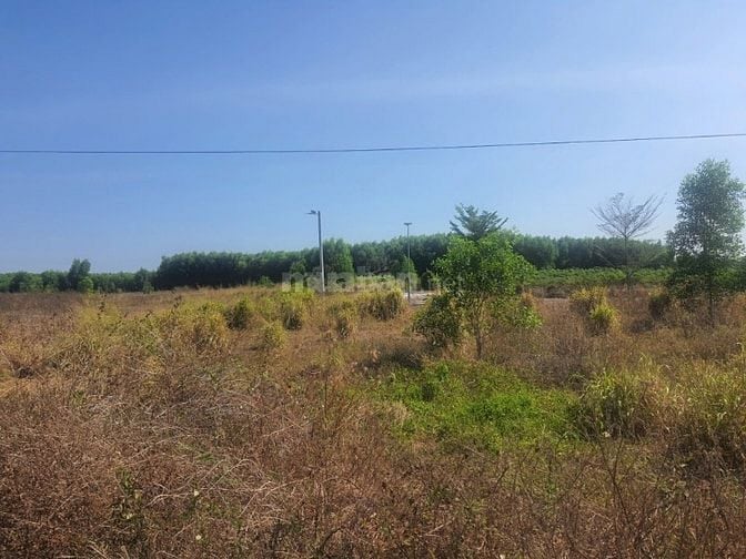 Công ty Đấu giá hợp danh Lam Sơn Sài Gòn THÔNG BÁO ĐẤU GIÁ TÀI SẢN