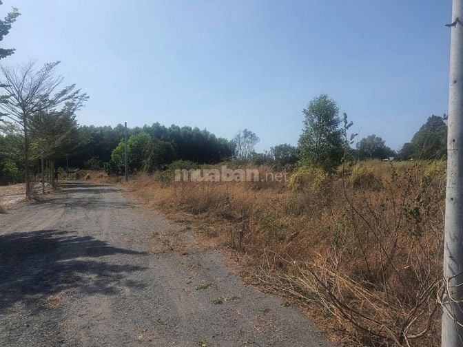 Công ty Đấu giá hợp danh Lam Sơn Sài Gòn THÔNG BÁO ĐẤU GIÁ TÀI SẢN