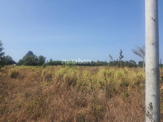 Công ty Đấu giá hợp danh Lam Sơn Sài Gòn THÔNG BÁO ĐẤU GIÁ TÀI SẢN