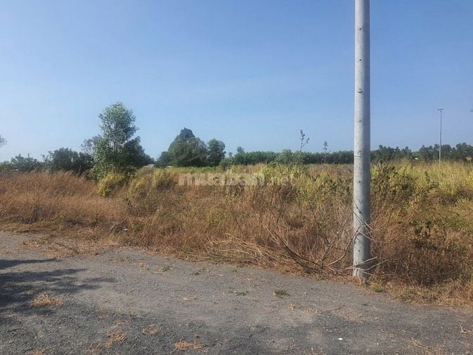 Công ty Đấu giá hợp danh Lam Sơn Sài Gòn THÔNG BÁO ĐẤU GIÁ TÀI SẢN