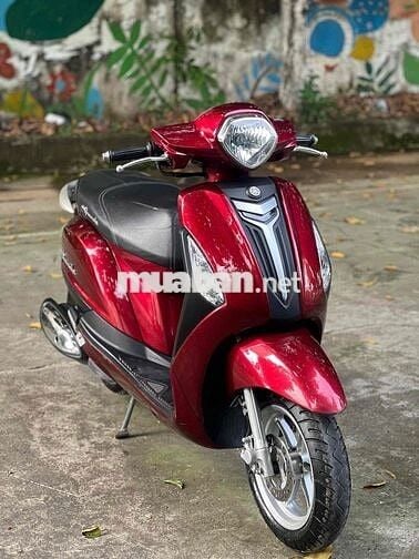 SH 160i ABS 2024 LƯỚT ( GÓP BAO NỢ XẤU )