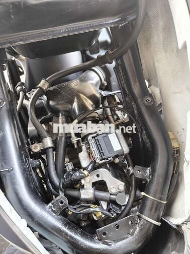 Xe giấy a móc vào nguyên con SH ý 2011