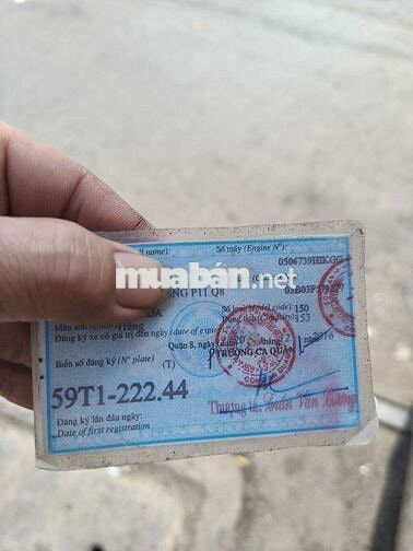 Xe giấy a móc vào nguyên con SH ý 2011