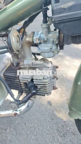 Honda  Cub 81 Xanh rêu Đã sử dụng