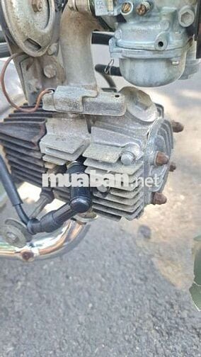 Honda  Cub 81 Xanh rêu Đã sử dụng