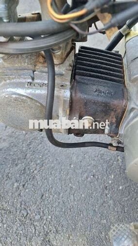 Honda  Cub 81 Xanh rêu Đã sử dụng