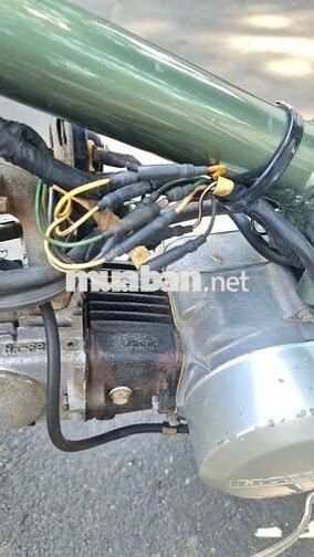 Honda  Cub 81 Xanh rêu Đã sử dụng