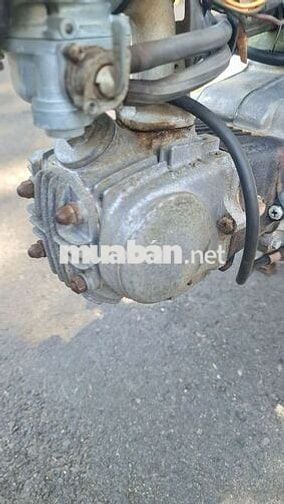 Honda  Cub 81 Xanh rêu Đã sử dụng