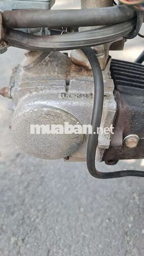 Honda  Cub 81 Xanh rêu Đã sử dụng