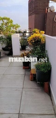 Phòng trọ cao cấp 20 m2, có máy lạnh, m.giặc, Quang Trung, Q. GVấp