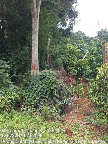 CTY ĐẤU GIÁ HỢP DANH TRỰC TUYẾN VIỆT NAM (VNOA) TỔ CHỨC ĐẤU GIÁ