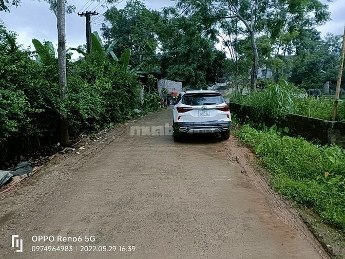 CHÍNH CHỦ CHO THUÊ ĐẤT TRỐNG 600M2 LÀM KHO BÃI XƯỞNG HAY CHĂN NUÔI CHÚ