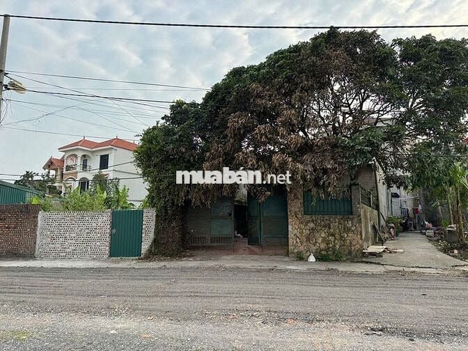 BÁN ĐẤT TẶNG NHÀ VIEW SÔNG ĐUỐNG – PHONG THUỶ ĐẸP TẠI GIANG BIÊN, LB