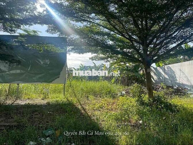 Đất sổ đỏ 130m2 (5*26m), Hoàng Tâm Cà Mau