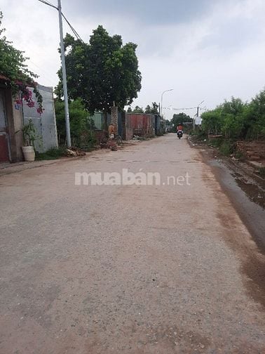 CHÍNH CHỦ CHO THUÊ ĐẤT TRỐNG 600M2 LÀM KHO BÃI XƯỞNG HAY CHĂN NUÔI CHÚ