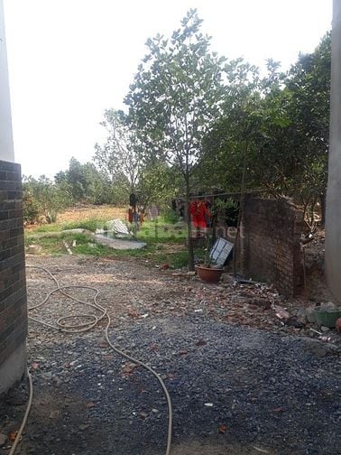 CHÍNH CHỦ CHO THUÊ ĐẤT TRỐNG 600M2 LÀM KHO BÃI XƯỞNG HAY CHĂN NUÔI CHÚ