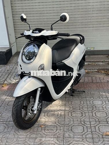 Honda Scoopy 2025 Trắng nhám Mới 100%
