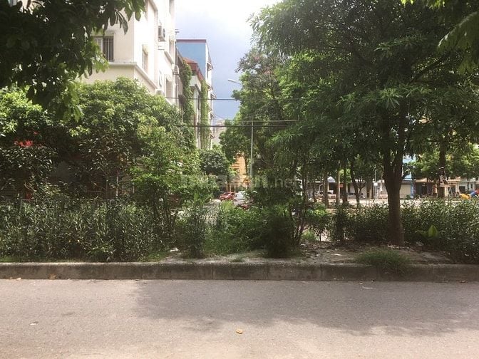 Cho thuê nhà 6 tầng,1 tum 55m2 Đặng Thùy Trâm, HN