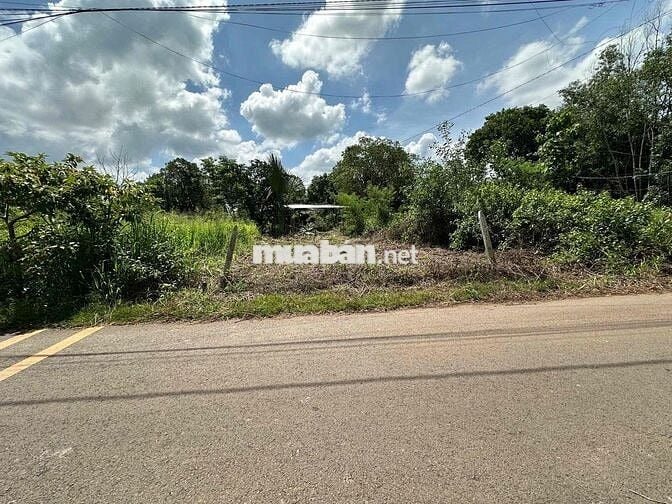 bán đất gia đình 1 Lô *** tại xã sông trầu chính chủ