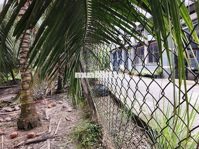 Cần bán gấp nửa công đất sát quốc lộ 57B, có hoa hồng cho môi giới.