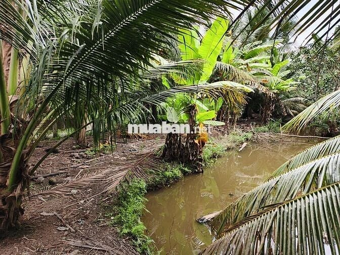 Cần bán gấp nửa công đất sát quốc lộ 57B, có hoa hồng cho môi giới.