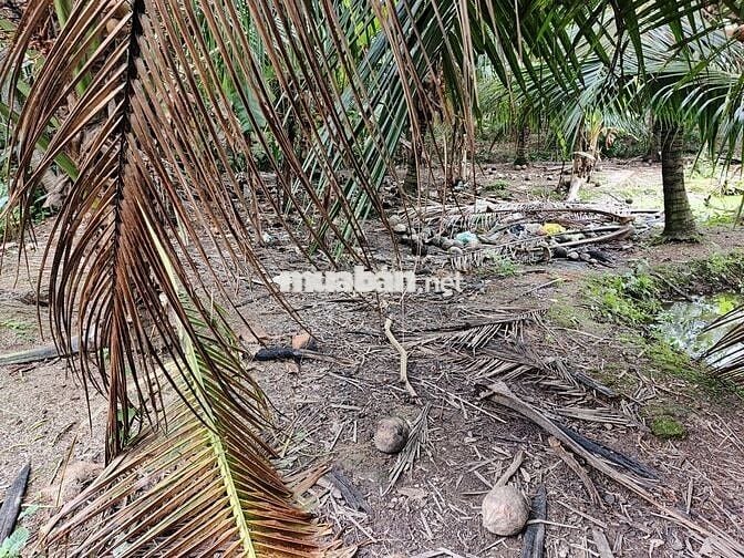 Cần bán gấp nửa công đất sát quốc lộ 57B, có hoa hồng cho môi giới.