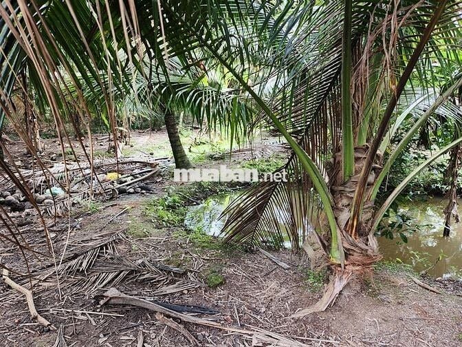 Cần bán gấp nửa công đất sát quốc lộ 57B, có hoa hồng cho môi giới.