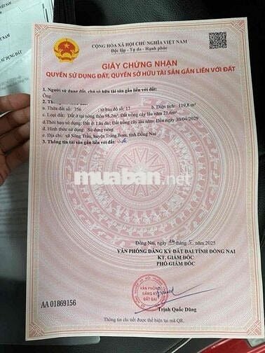 bán đất gia đình 1 Lô *** tại xã sông trầu chính chủ