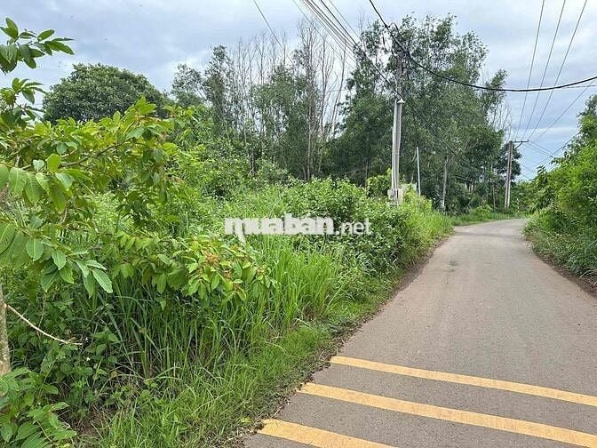 bán đất gia đình 1 Lô *** tại xã sông trầu chính chủ