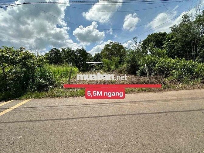 bán đất gia đình 1 Lô *** tại xã sông trầu chính chủ