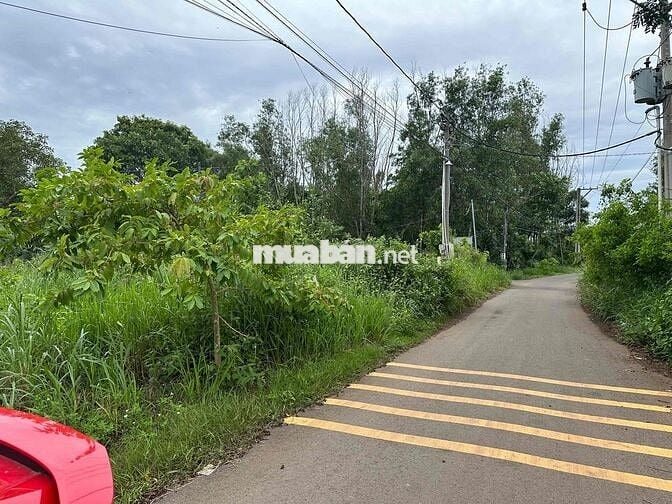 bán đất gia đình 1 Lô *** tại xã sông trầu chính chủ