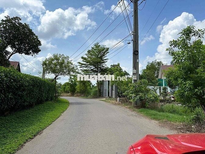 bán đất gia đình 1 Lô *** tại xã sông trầu chính chủ