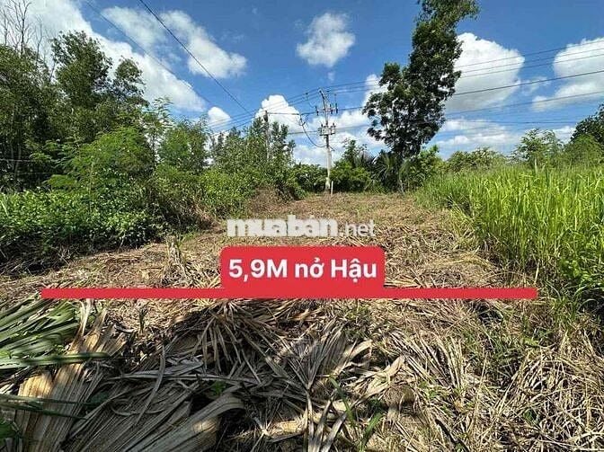 bán đất gia đình 1 Lô *** tại xã sông trầu chính chủ