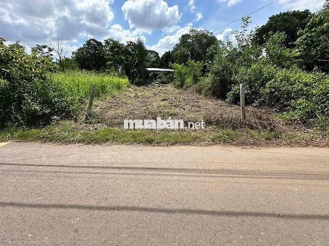 bán đất gia đình 1 Lô *** tại xã sông trầu chính chủ