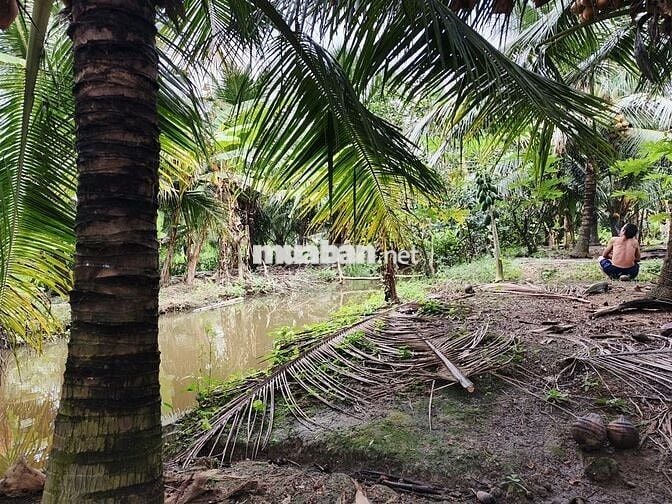 Cần bán gấp nửa công đất sát quốc lộ 57B, có hoa hồng cho môi giới.