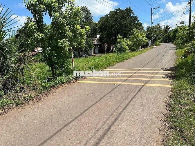 bán đất gia đình 1 Lô *** tại xã sông trầu chính chủ