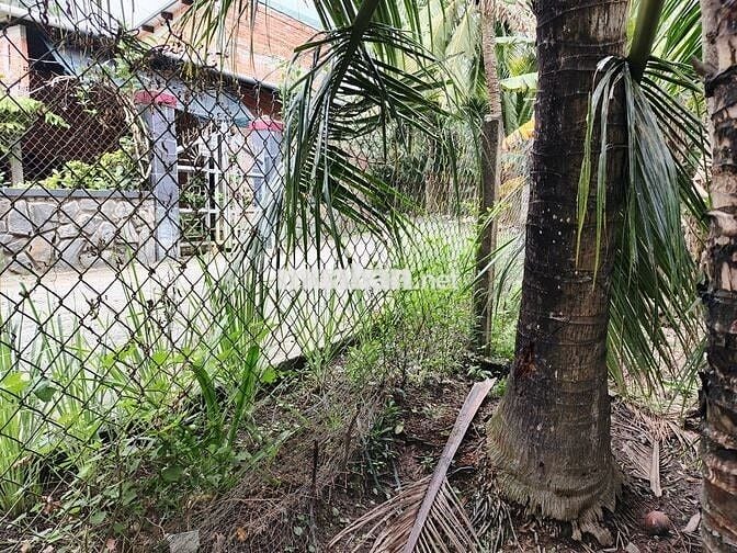 Cần bán gấp nửa công đất sát quốc lộ 57B, có hoa hồng cho môi giới.