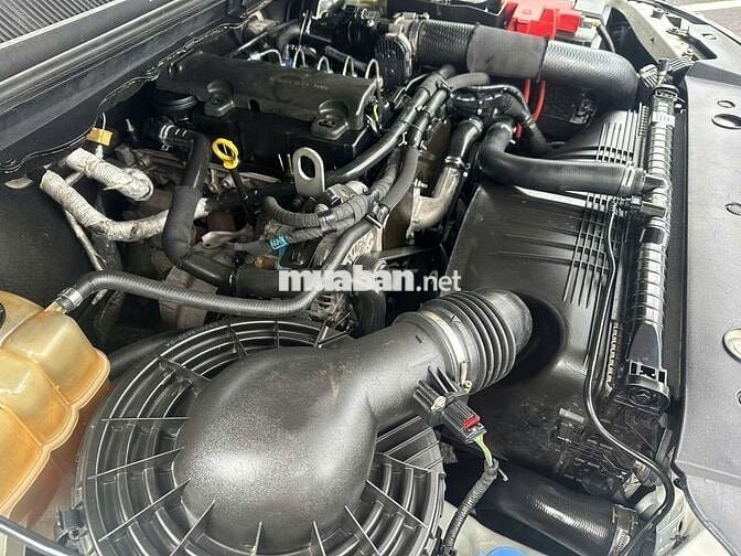 Ford Ranger XLS Trắng Tự động 2019