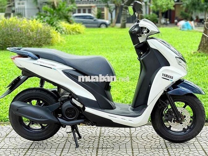 Freego 2019 đèn led abs biển 43