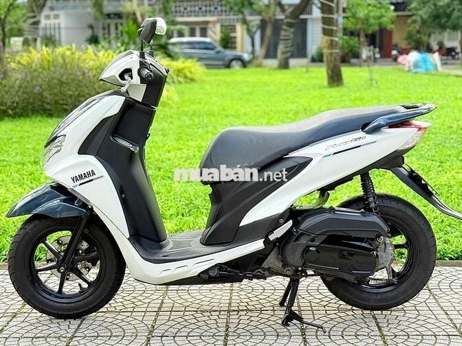 Freego 2019 đèn led abs biển 43