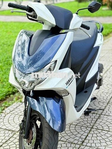 Freego 2019 đèn led abs biển 43