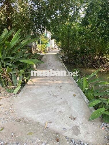 Bán Gấp Vườn Xoài Đường Đan xe Ba Gác