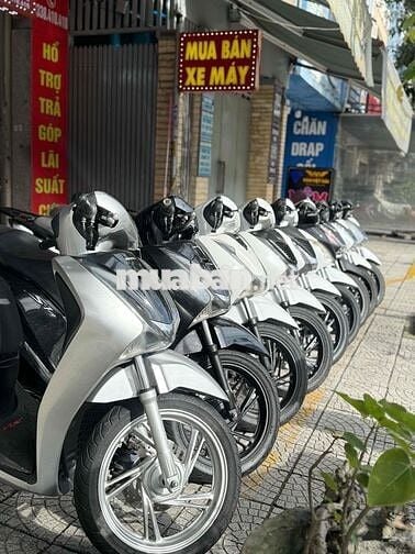 Sh đủ mẫu. xe đẹp máy rin, bảo hành chuẩn