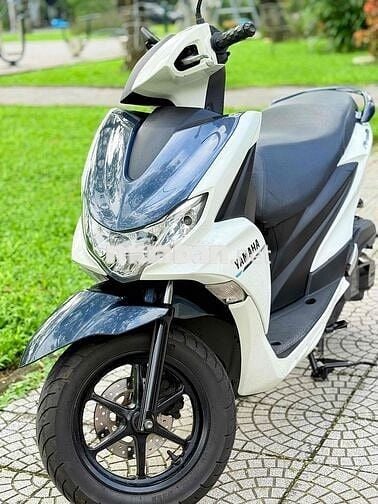 Freego 2019 đèn led abs biển 43