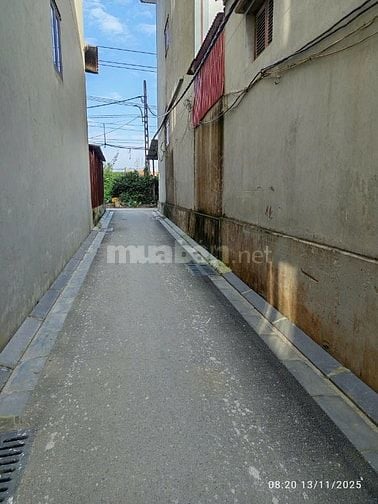 THƯ LÂM 63M GIÁ ĐẸP HỢP LÝ ĐỂ ĐẦU TƯ HOẶC Ở