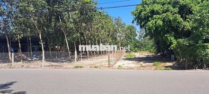 Khách Cần Sang Nhượng Lại Lô Đất Ở Xã An Linh