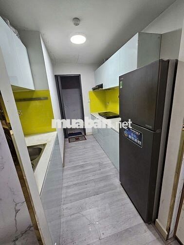 Cho thuê căn hộ 1PN khu Emerald - Celadon City. Full nt giá 11tr5